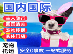 南阳姜营国际宠物托运 【国
